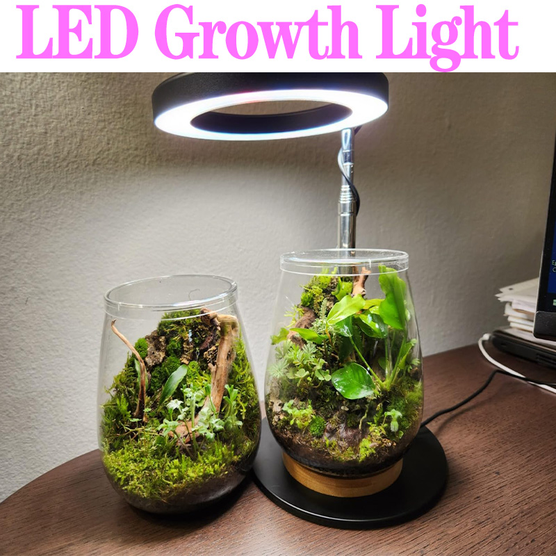 Plant Growth Regulator - 풀 스펙트럼 식물 램프, USB 성장