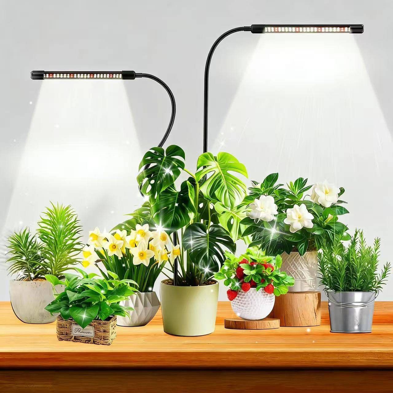 Plant Growth Regulator - 48개 LED가 있는 실내 식물용 성장등,