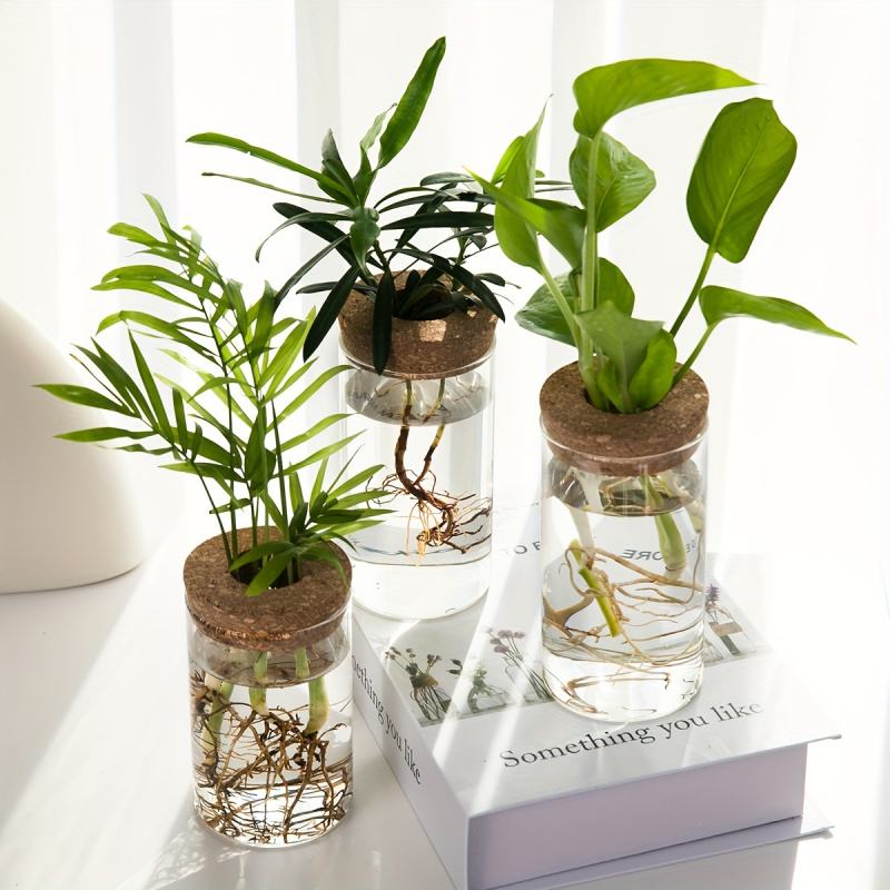수경재배 식물 데스크탑 유리 화분 꽃병, 홈 데코, 식 - Plant Growth Regulator 리뷰 및 가격