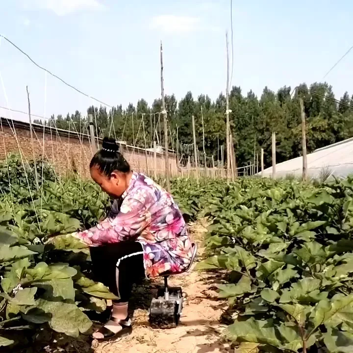 360도 회전 온실용 작업대, 농업용 의자, 정원용 이 - Agriculture Farming Degree 리뷰 및 가격