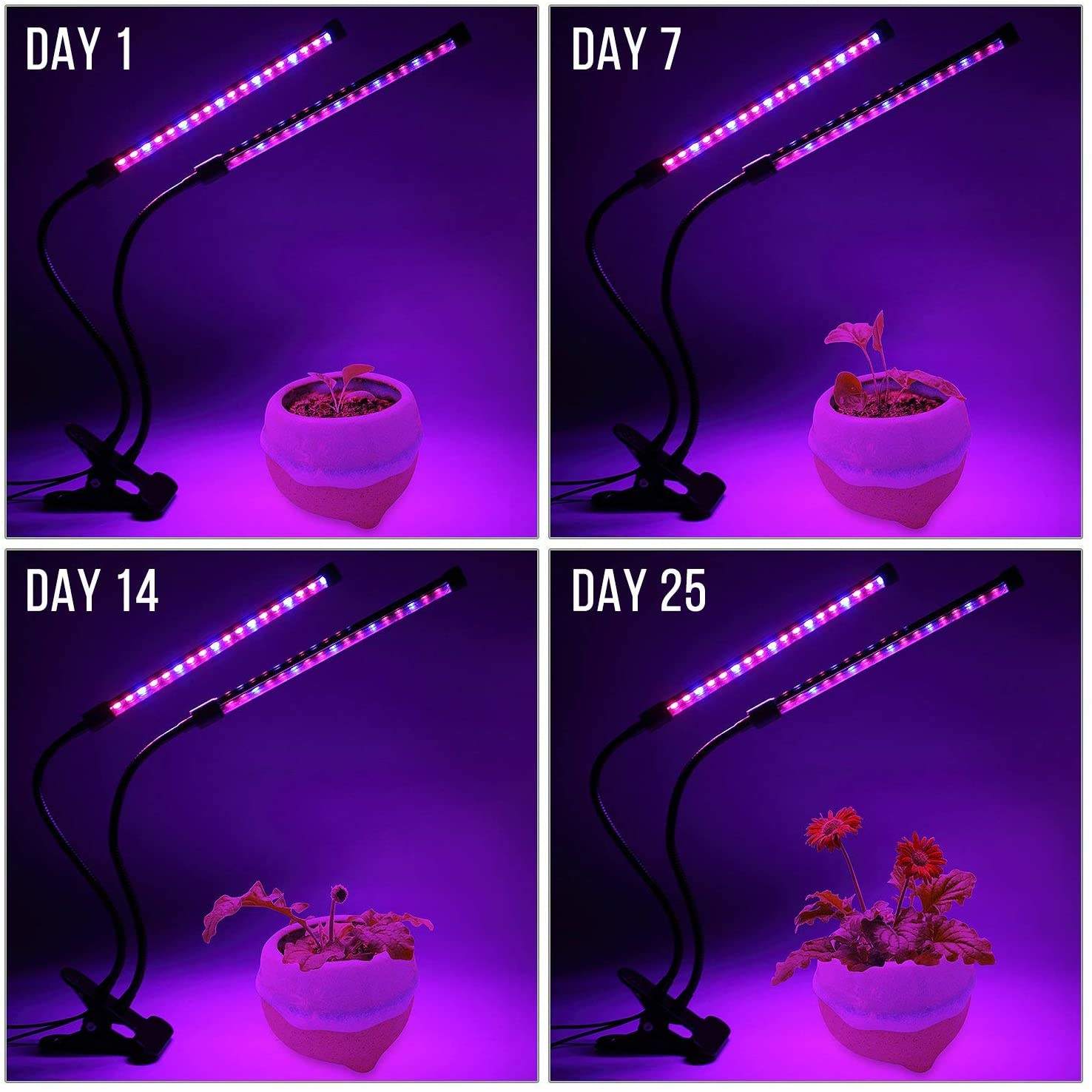 USB LED 식물 성장 빛 실내 정원 10 디밍 가능 - Plant Growth Regulator 리뷰 및 가격