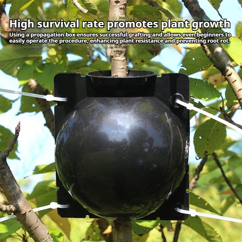 10개 식물 번식 키트: 빠른 뿌리 성장을 위한 고압  - Plant Growth Regulator 리뷰 및 가격