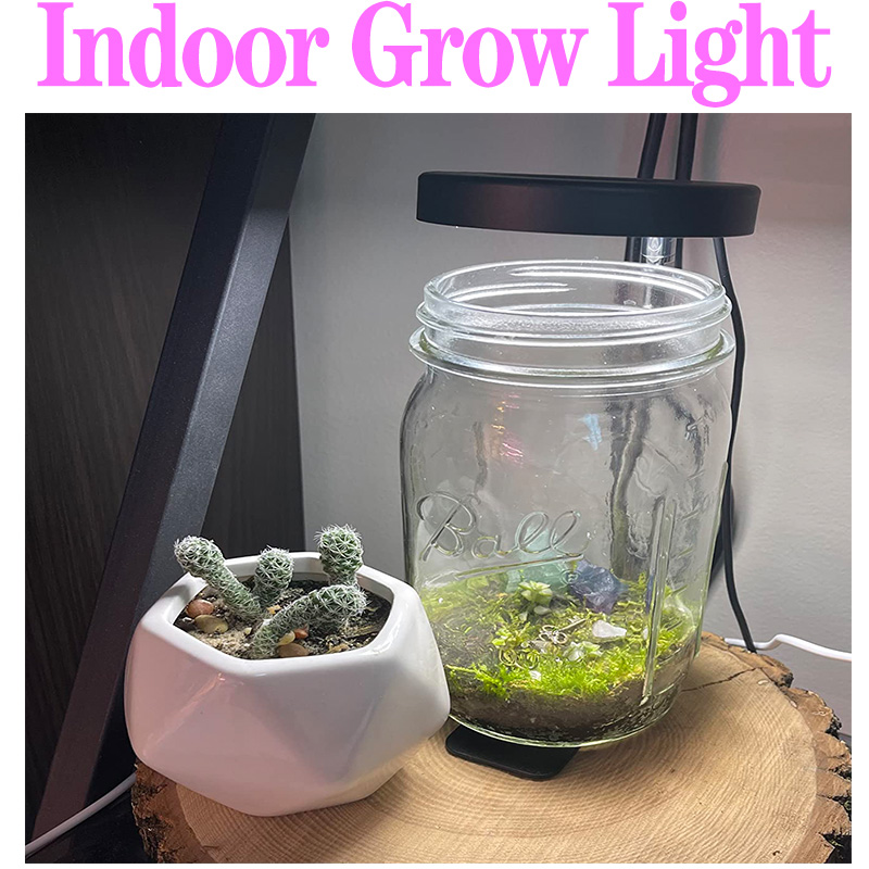 풀 스펙트럼 식물 램프, USB 성장 조명, LED 성 - Plant Growth Regulator 리뷰 및 가격