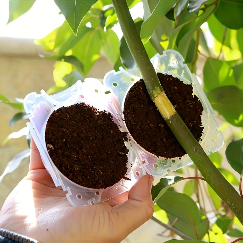 10개 식물 번식 상자 세트, 고압 접목, 절단 및 뿌 - Plant Growth Regulator 리뷰 및 가격